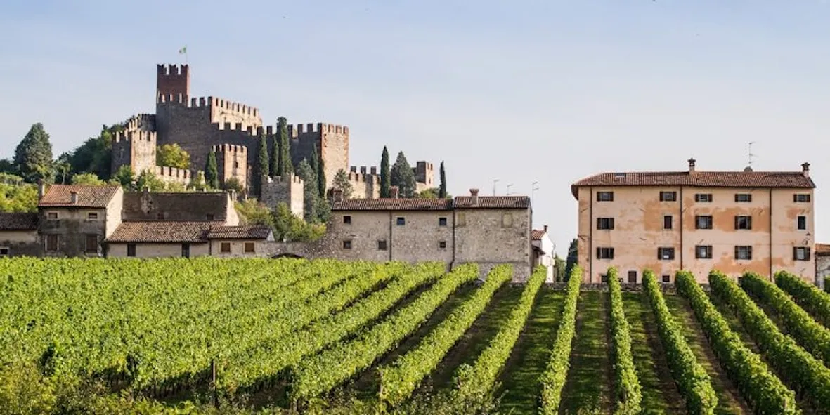Anche il Soave ha i suoi cru. Approvate le Unità geografiche aggiuntive