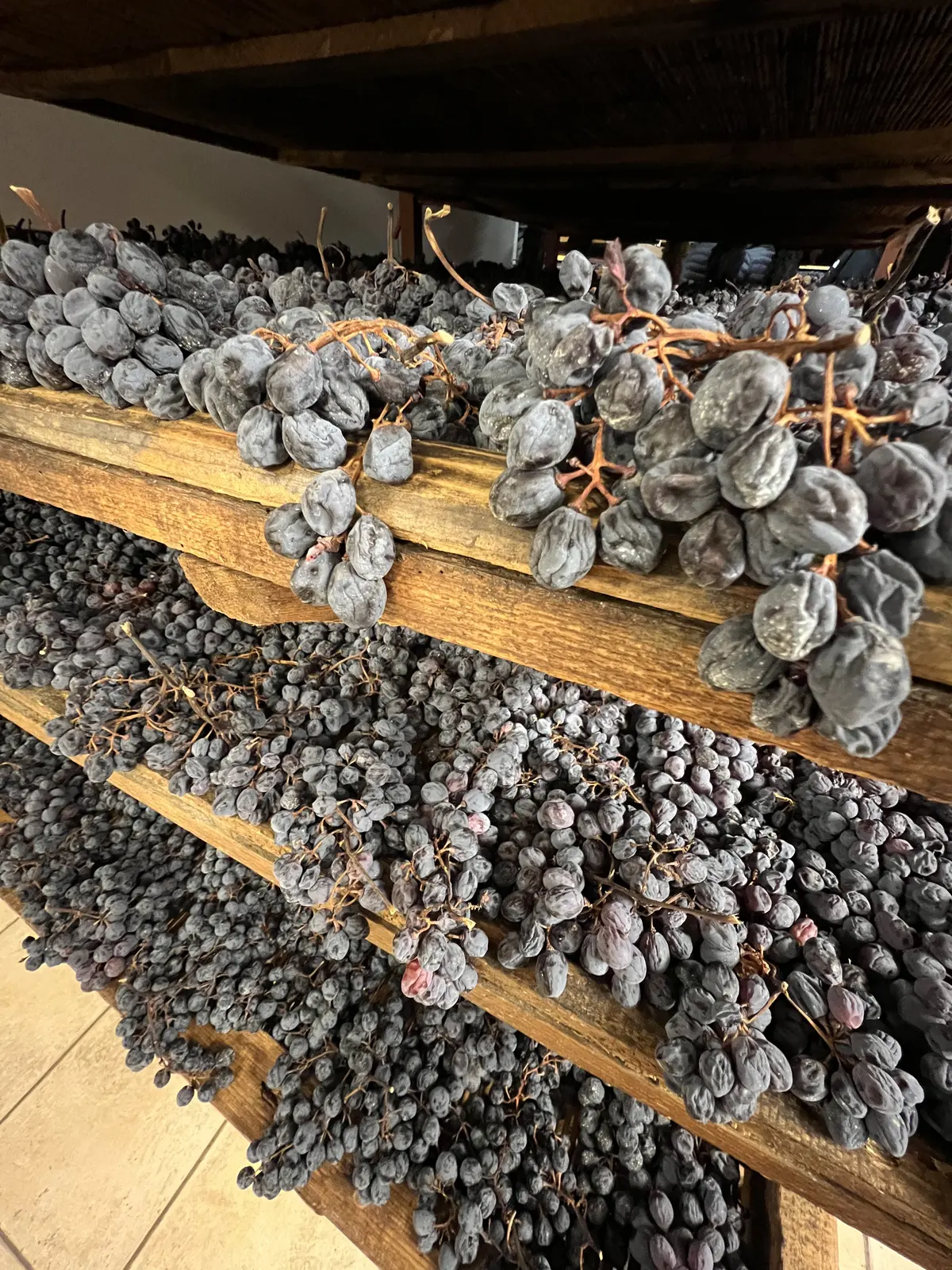 Amarone della Valpolicella: was er ist, wie er entsteht und wie man ihn trinkt