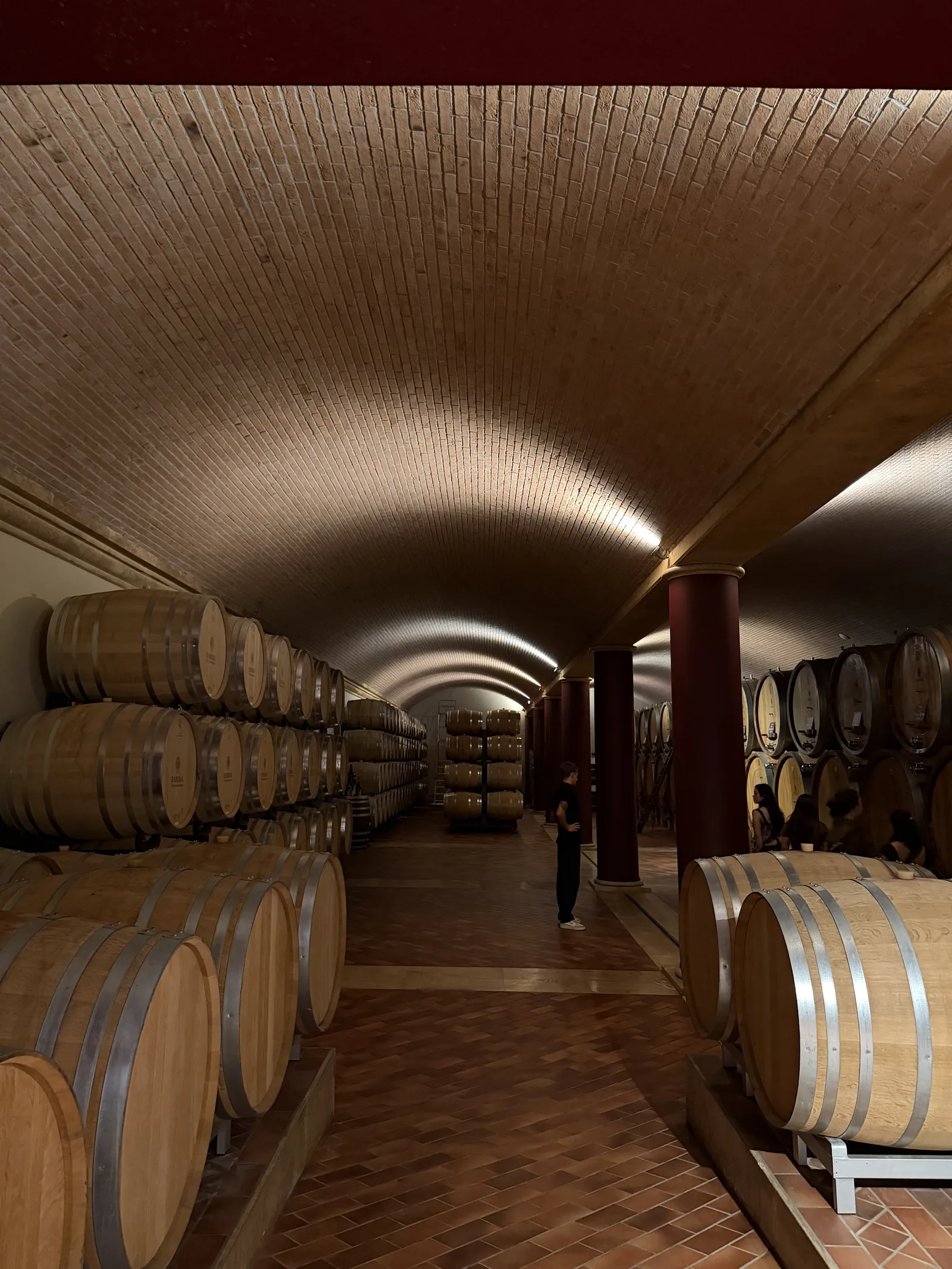 Wine Tasting in Venice (and Near It): Bacari, Day Trips and the Real Wine Country