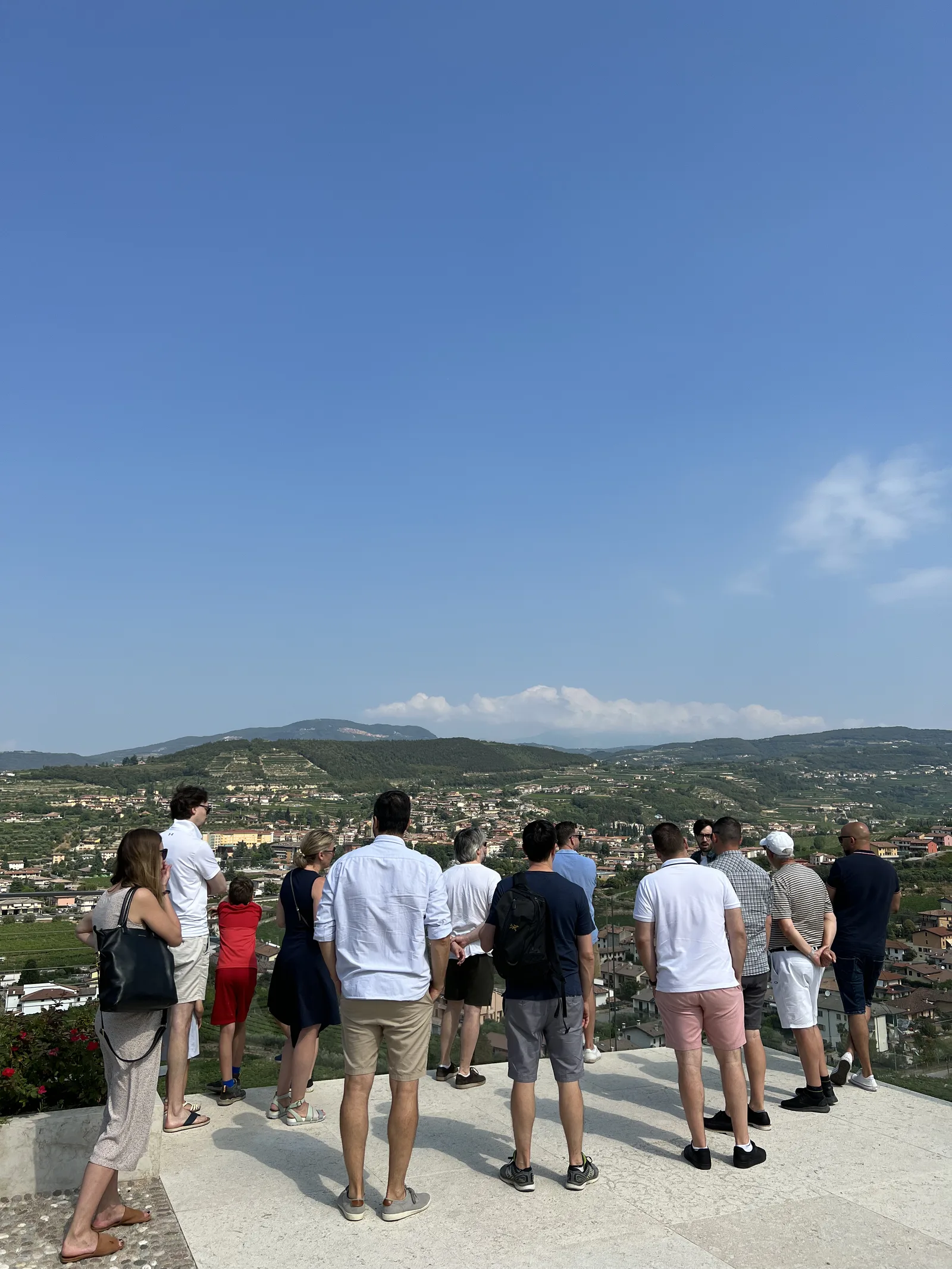 Wine Tours from Verona: Day Trips to Valpolicella, Soave and Lake Garda