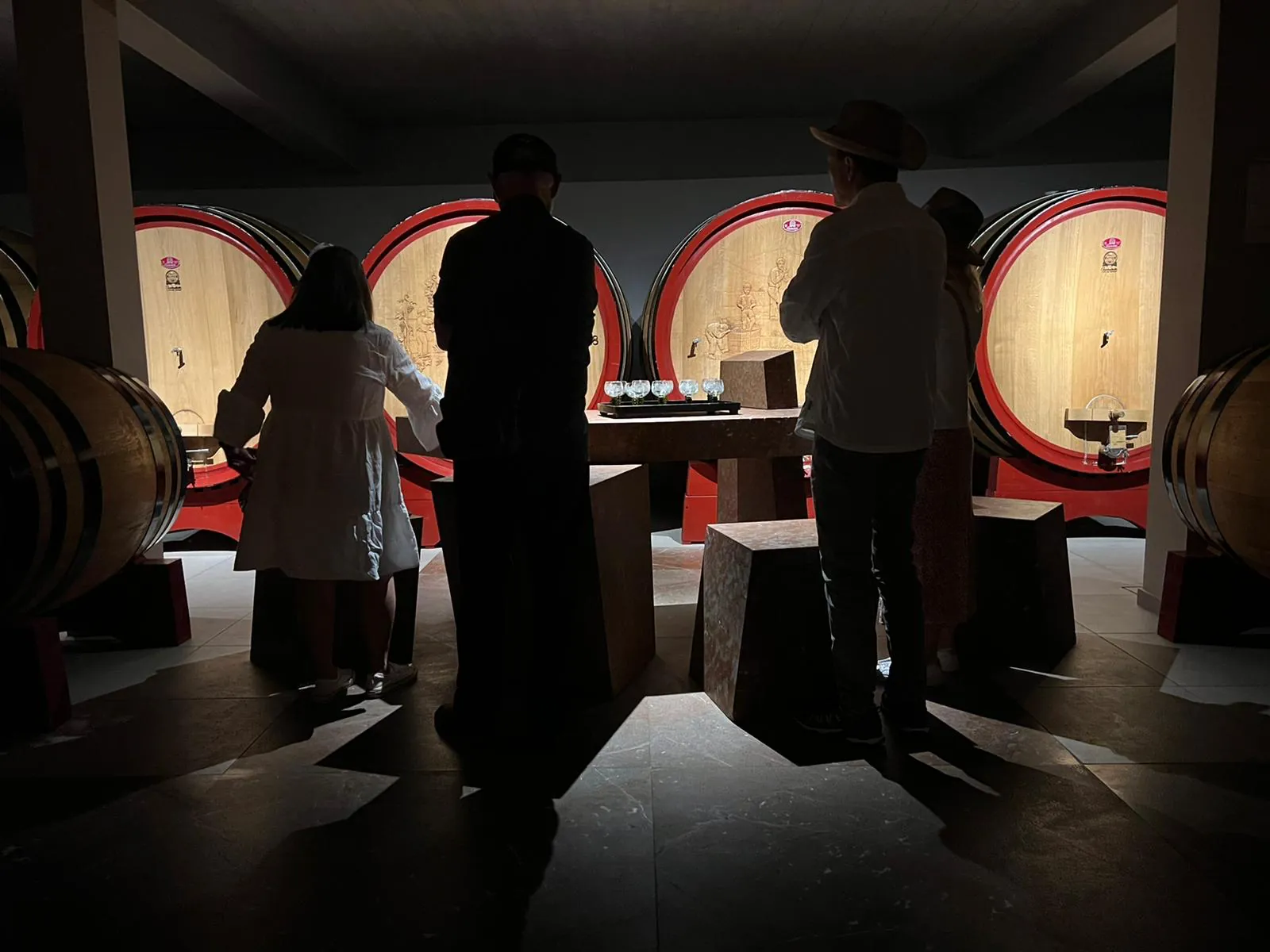 Wine tasting at a family-run winery cellar near Verona