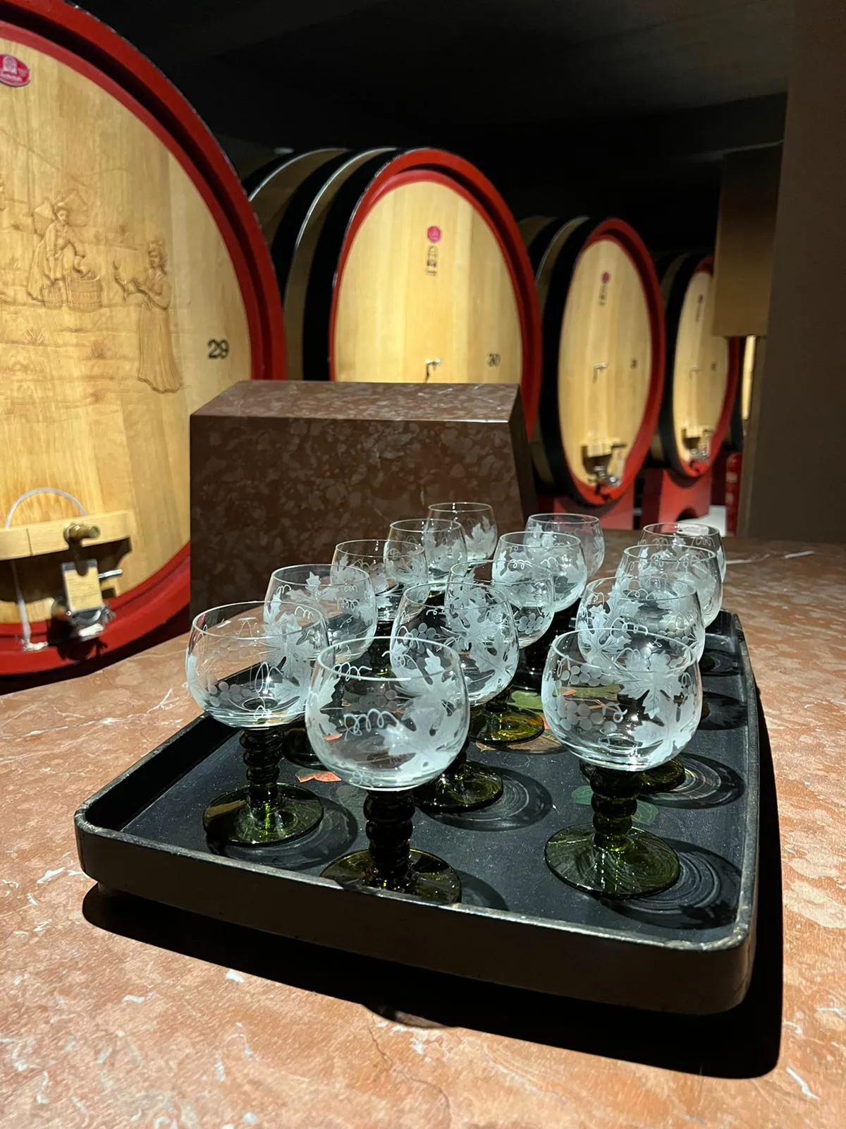 Degustazione vini in Valpolicella: guida completa alle visite in cantina