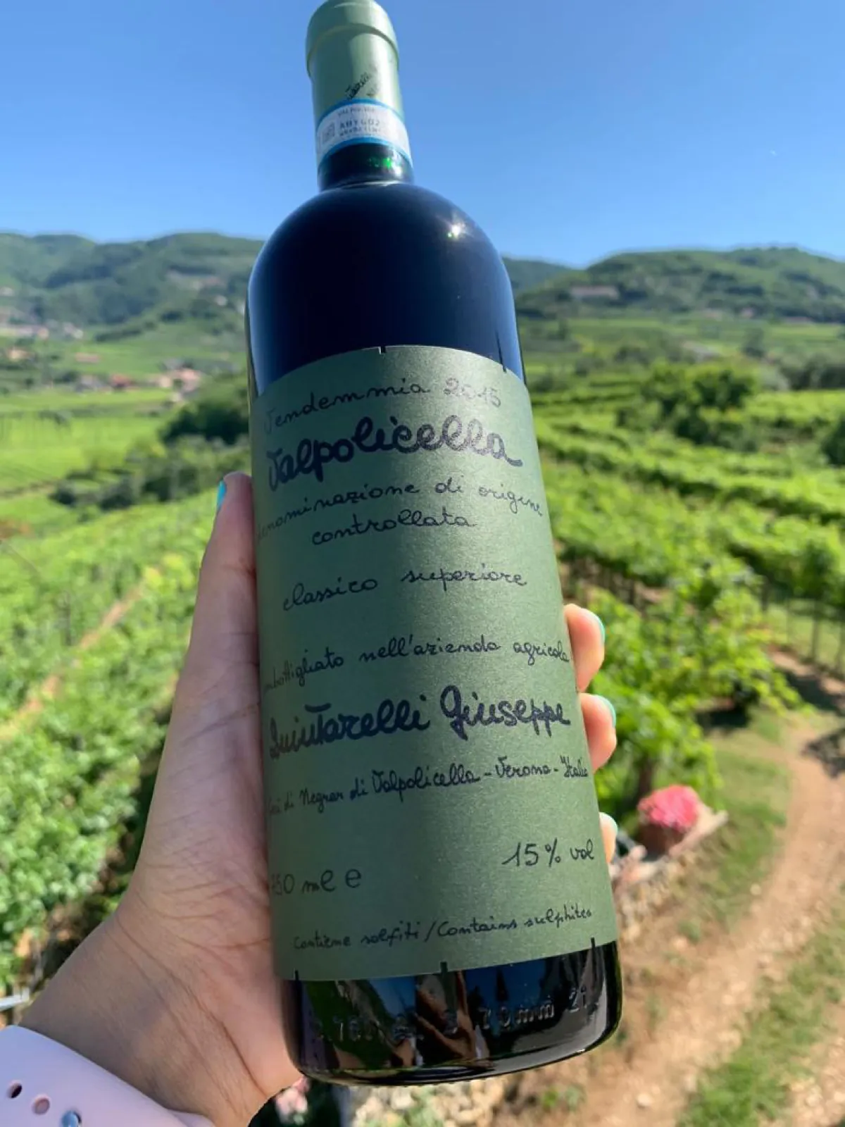 Vinhos do Vêneto: Bardolino, Soave, Lugana, Recioto e a uva Corvina