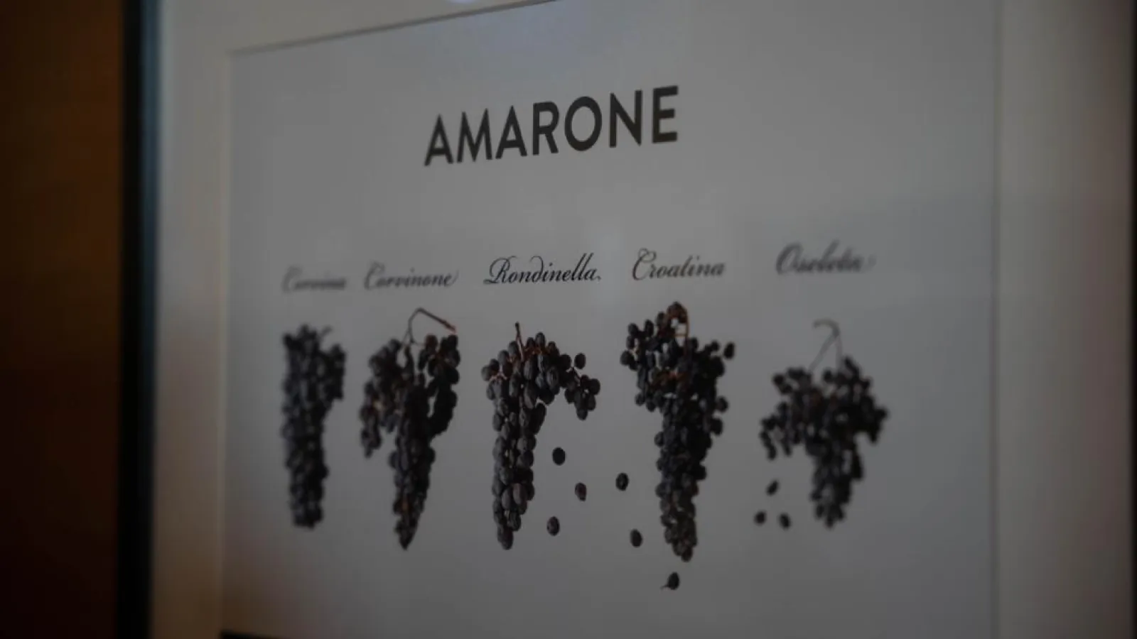 The Wines of Verona: Valpolicella, Soave, Bardolino and Beyond
