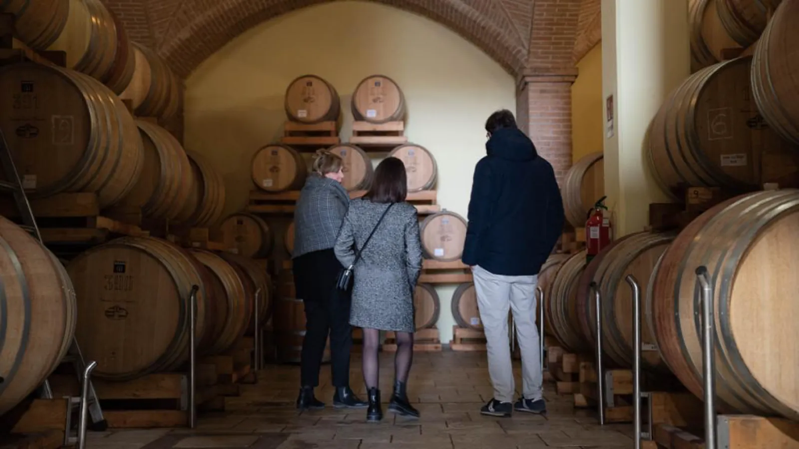 Degustazione vini Soave: guida alle cantine e al grande bianco veronese