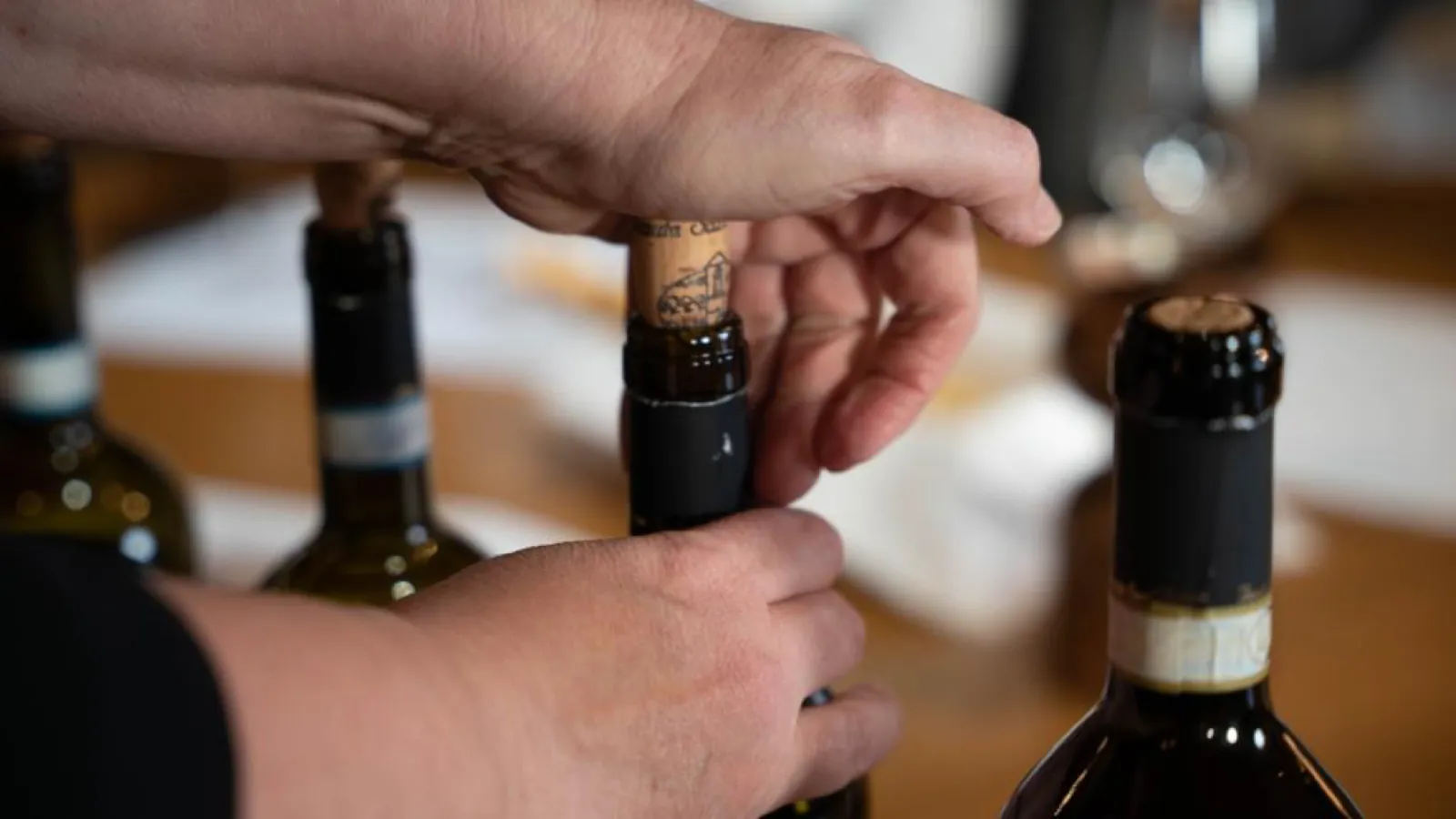 Sunday: Tasting with Lunch