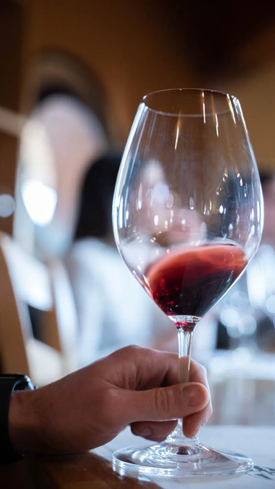 Domenica: Degustazione e Pranzo